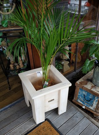 Small Traditional Style Planter Box